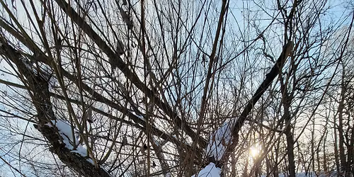 Great Minnetonka Yeti Hunt