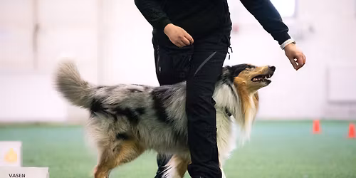 Rally-tokokisat 22.11.2025