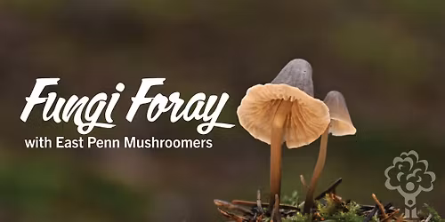 Spring Fungi Foray with East Penn Mushroomers