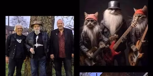 \ud83c\udfb6BARRACUDA\ud83c\udfb6