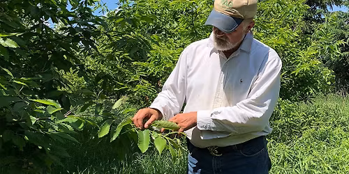 Food Film Fest 2025: Feeding Tomorrow