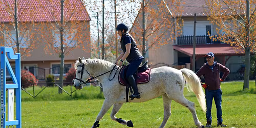 Lovas Edz\u0151nap - L\u00e9b\u00e9ny, Sajtos-r\u00e9t