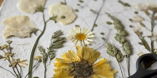Pressed Flower Framed Picture Workshop