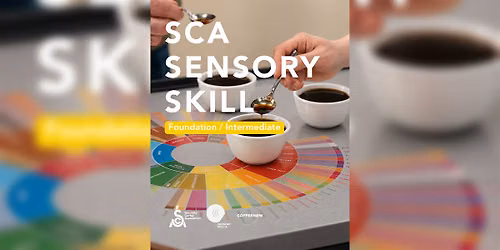 SCA Sensory Skills: Intermediate