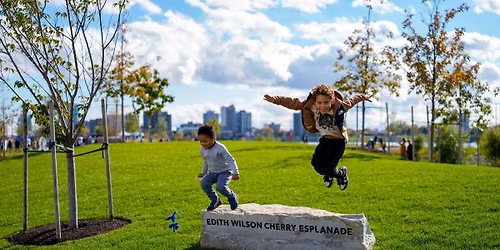 Spring into Wilson