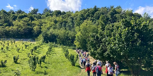 Camminando con Fenoglio sulla GTL