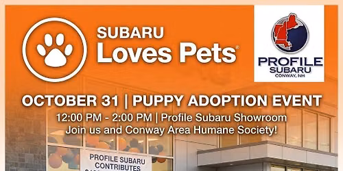 Subaru Loves Pets Adoption Event 