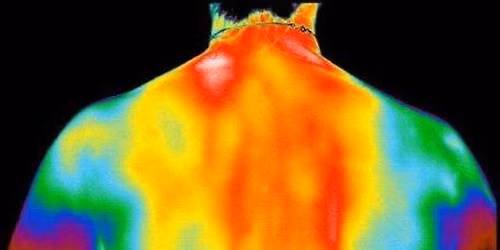 Thermography in St. Joseph Mo