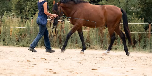 Stage MUSCLER SON CHEVAL A PIED
