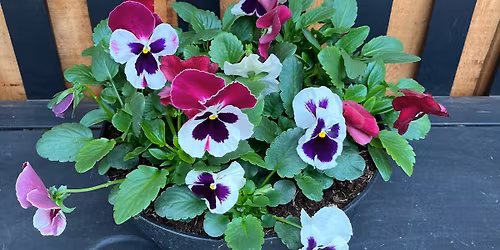 The Spring Reset Workshop