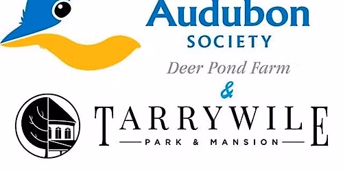 Winter Birds & Nature Hike at Tarrywile