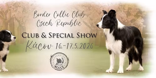 KLUBOV\u00c1 a SPECI\u00c1LN\u00cd V\u00ddSTAVA BCCCZ