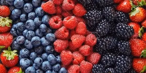 Berry picking at Hoffman Farms