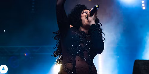 Essentially Cher-Live in Concert