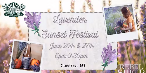 Sip & Snip: Lavender Picking at Sunset