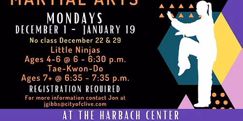 Martial Arts - Little Ninjas and Tae-Kwon-Do