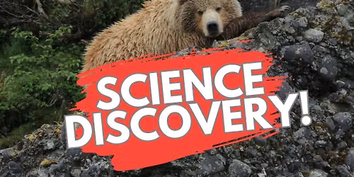 Science Discovery!