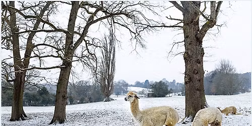 Just Hike:\ufffd 15km Newlands Corner, St Martha\u2019s Hill and Chilworth, near Guildford