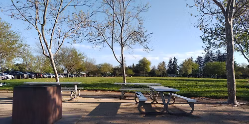 Picnic with Napa UWF Friends \u201cBuilding Communities Of The Spirit\u201d