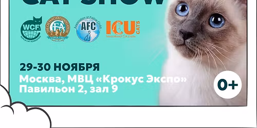 Winter Cat Show 2025 \u2013 CFA Edelweiss Cat Club, Moscow