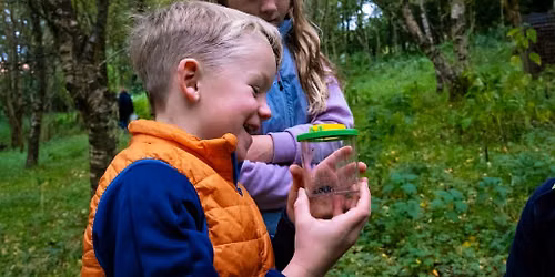 Mini-beast Hunt at Mersehead