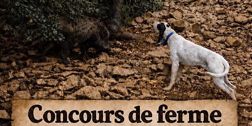 Concours de ferme