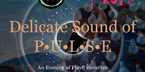 The Machine Performs Pink Floyd