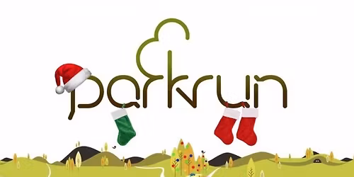Annual  Christmas Festive fancy dress parkrun