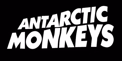 The Antarctic Monkeys at The Station Cannock