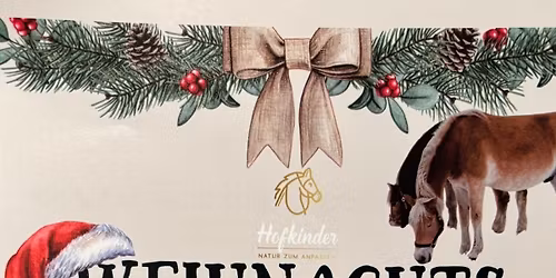 Weihnachtszauber bei den Hofkindern