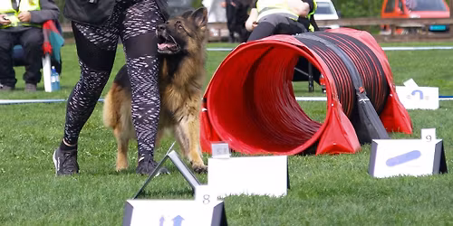 Trippeltstevne i Rallylydighet - 5 starter!!