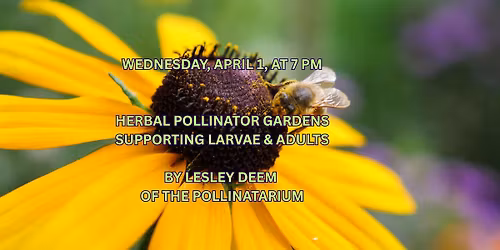 C\u2011U Herb Society April Meeting: Herbal Pollinator Gardens