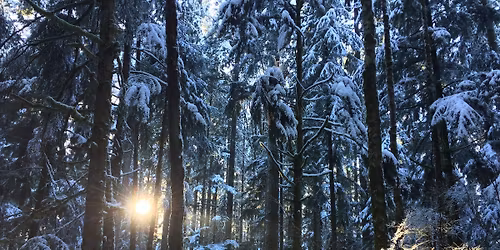 Yuletide Kirtan \u2728