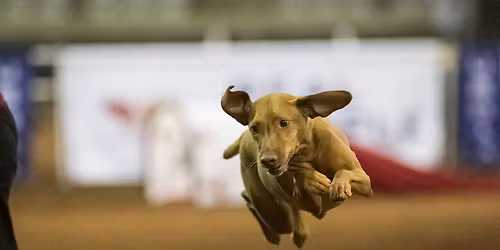 CWVC AKC Trial May 29-31st