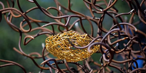 Garden Explorers: Making Myths