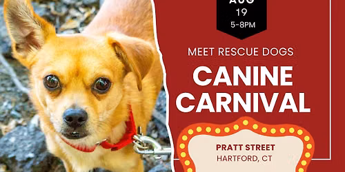 Canine Carnival: Meet Rescue Dogs in Hartford 