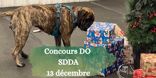 Concours de détection d'odeurs de Noël
