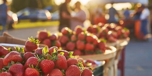 Strawberry Festival and Game Day