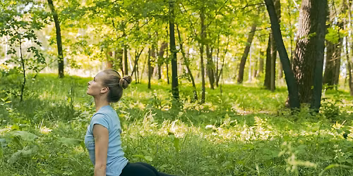 Skogsyoga \/ Forest Yoga 