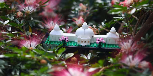 Bricks and Brews at the Botanical Gardens