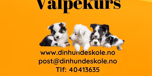 Valpekurs Skien Tirsdager