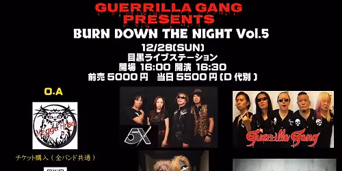 BURN DOWN THE NIGHT Vol.5