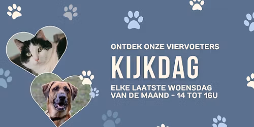 Kijkdag