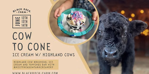 Cow-to-Cone | Ice Cream w\/ Highland Cows