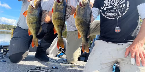 Abborrfiske i Vombsj\u00f6n