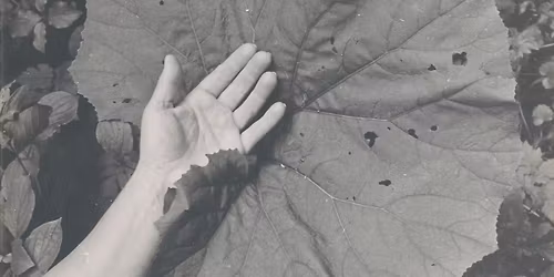 Poszukiwanie r\u00f3wnowagi | Michal Kern