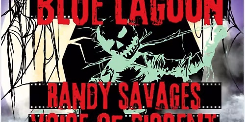 Voice Of Dissent, Blunt Force Karma, & The Randy Savages @ The Blue Lagoon