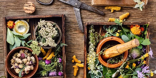 Die Kr\u00e4uterApotheke - Grundlagen der Pflanzenheilkunde \ud83c\udf3f