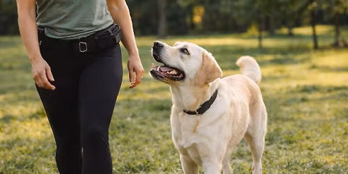 The Relationship Reset- Foundational Dog Psychology Seminar 