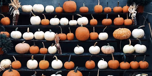 BUSHWICK VENDORS MARKET Halloween Edition